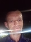 Николай лебедев, 50 лет, Троицк (Челябинск)