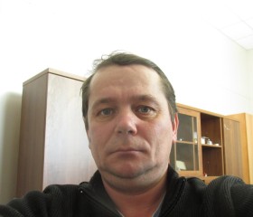 Андрей, 47 лет, Алтайский