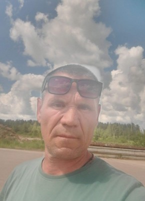 Danil, 52, Russia, Rzhev