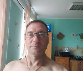 Сергей, 47 лет, Платнировская