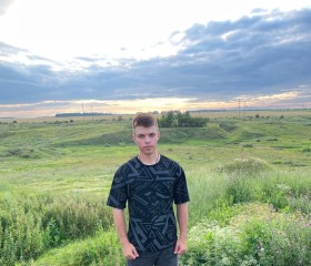 Николай, 22 года, Воронеж
