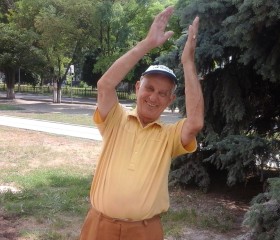 Василий, 72 года, Нікополь