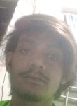 Arshad malik, 23 года, New Delhi