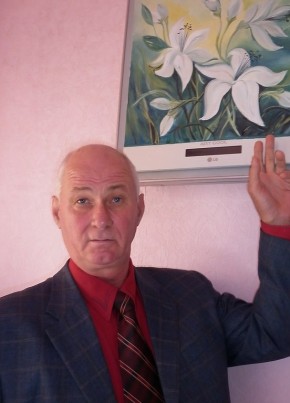 Владимир, 63, Россия, Началово