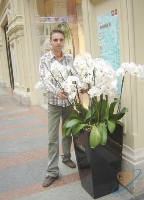 Александр , 40, Россия, Коломна