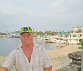 Виктор, 66 лет, Чугуевка