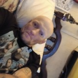 Thomas, 45  , Meads