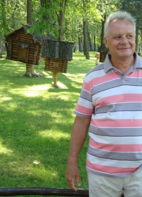 Геннадий, 68, Россия, Тольятти