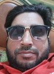 James, 33 года, لاہور