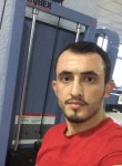 Denis, 34 года, Prishtinë