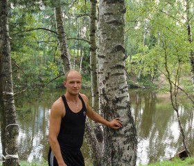 Петр, 54 года, Пушкин