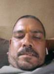 Mithlash bhargav, 39 лет, Vidisha