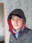 Николай, 22 года, Саранск