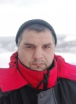 Денис, 46 лет, Кировск (Мурманская обл.)
