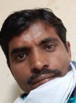 Pileshwar, 33 года, Raipur (Chhattisgarh)
