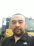 Дильшат, 37 лет, Алматы