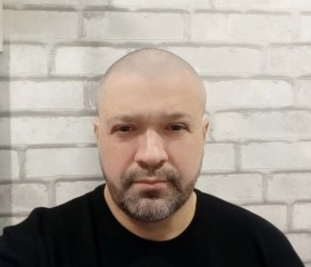 Евгений, 45 лет, Старый Оскол