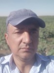 Баха, 54 года, Qarshi