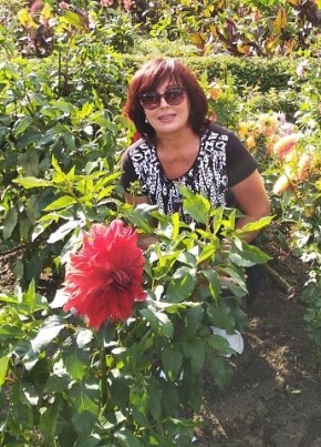 Marina, 61, Russia, Trudovoye