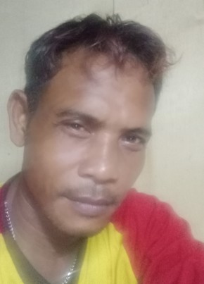 Andika, 43, Malaysia, Pekan Nenas