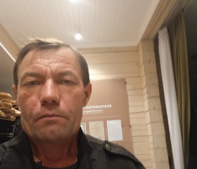 Анатолий, 52 года, Санкт-Петербург