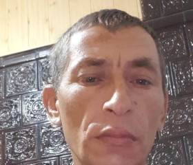 Руслан, 46 лет, Ungheni