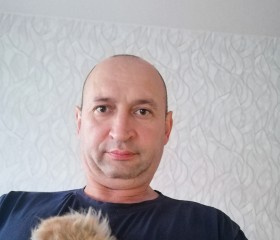 Александр, 43 года, Ижевск