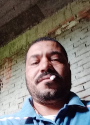 هشام, 46, جمهورية مصر العربية, دمنهور