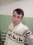 Saib , 28, Vologda