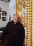 Борис, 65 лет, Камянське
