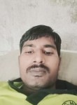 Kumar pal, 29 лет, Ahmedabad