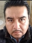 Alberto, 43 года, Ciudad López Mateos