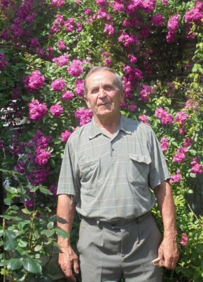 Владимир, 80, Россия, Майкоп