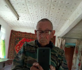 Николай Мальцев, 69 лет, Заводоуковск