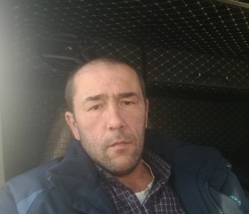 Тимур, 41 год, Новосибирск