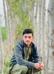 Yasir dawood, 19 лет, رہ اسماعیل خان