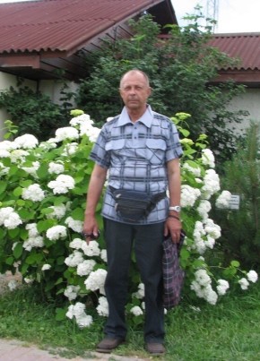 Евгений, 77, Россия, Домодедово