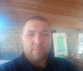 Сергей Лысов, 52 года, Барнаул