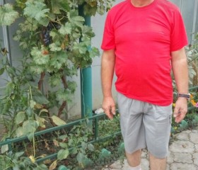сергей, 64 года, Нальчик