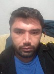 Serdar , 35 лет, Edremit (Balıkesir)