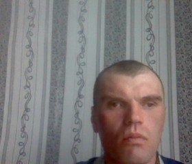 Alexey, 46 лет, Тотьма