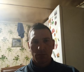 Алексей, 43 года, Миллерово