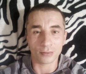 Владимир, 42 года, Кичменгский Городок