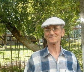 Евгений, 72 года, Богородицк