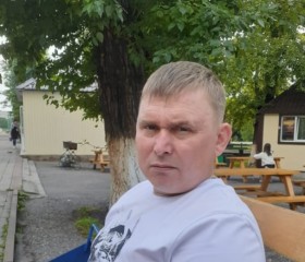 Николай, 42 года, Белово