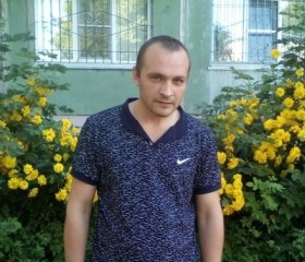 Илья, 36 лет, Барнаул