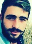 Mucahit, 25 лет, Aliağa