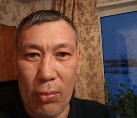 Шамиль Гайфулин, 48 лет, Челбасская