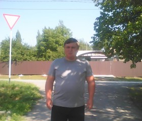 Сергей, 43 года, Усть-Донецкий
