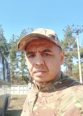 Альбик